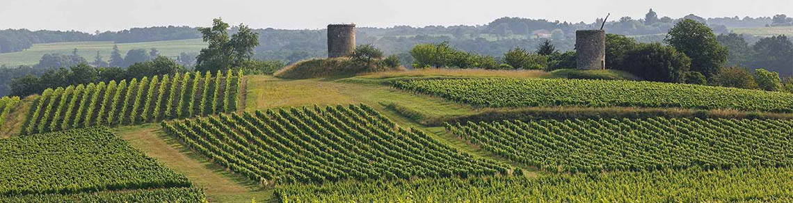 Coffret Découverte - Château Roquefort