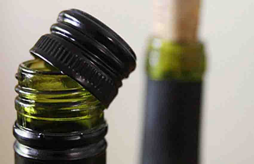 Bouchon de conservation du vin rouge, BOUCHON DE VIN FRAIS Bouchon de vin  facile à utiliser pour la conservation du vin rouge